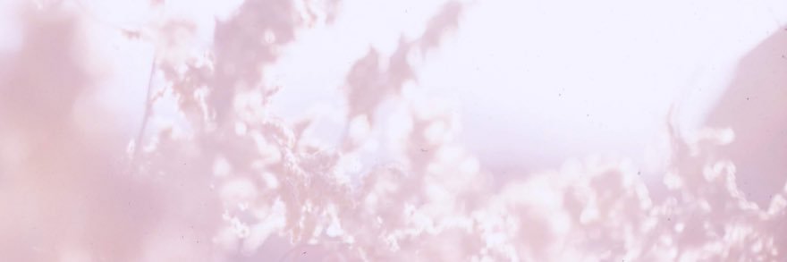 江下碧 banner