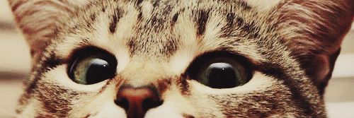 Inay banner