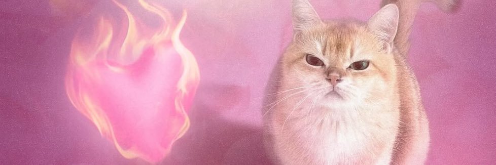 ˚˖𓍢✧˚.⋆666mg🖤˚˖𓍢ִ✧˚.⋆ banner