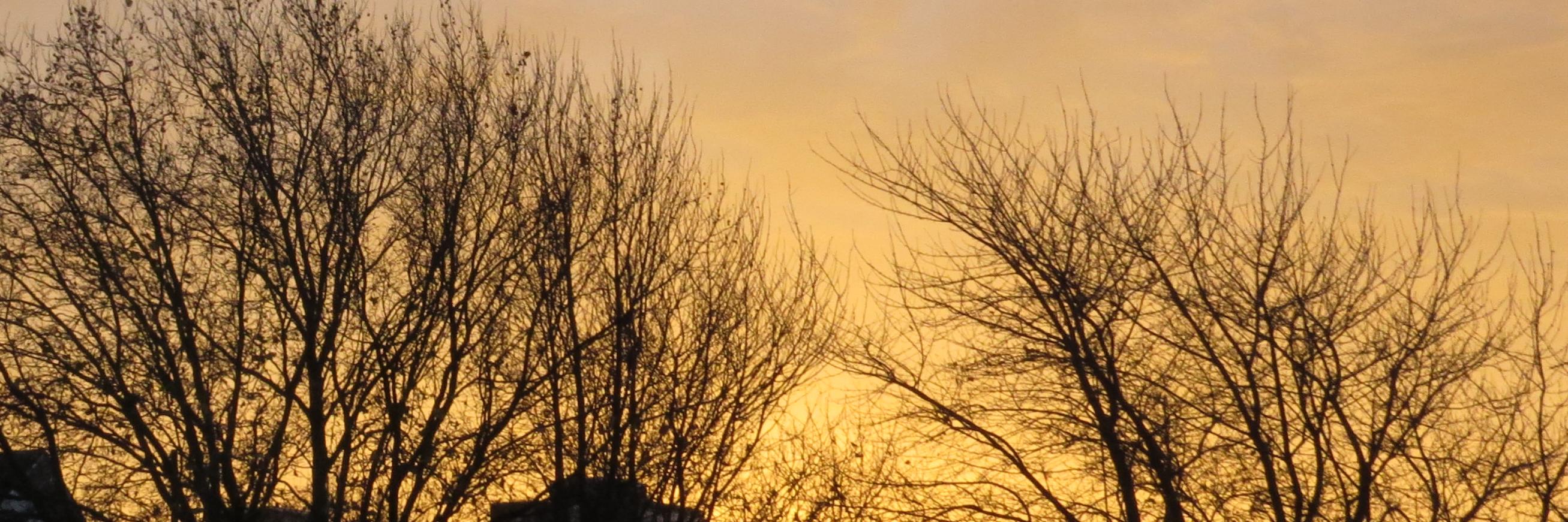 Nathalie Mahieu banner