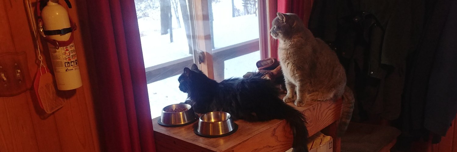 Grammy 🇺🇸 banner