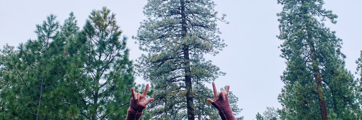 MirandaDahmen's profile banner image