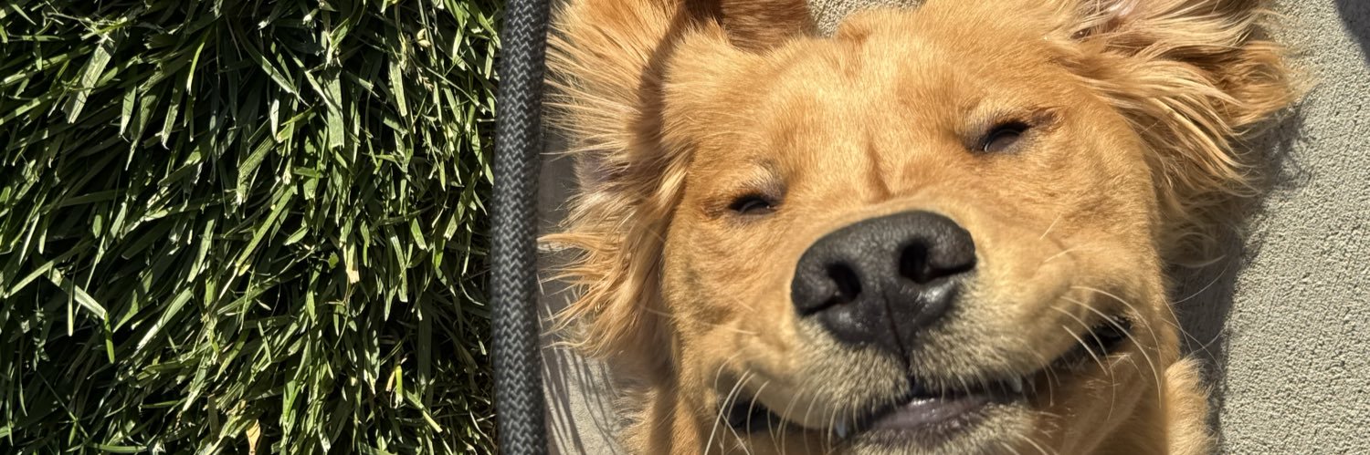 LoMantsTV's profile banner image