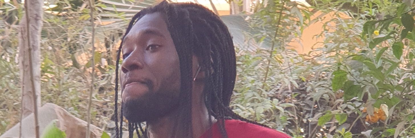 Ndiagadroid's profile banner image