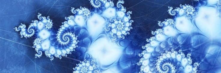 sr.a shower's banner