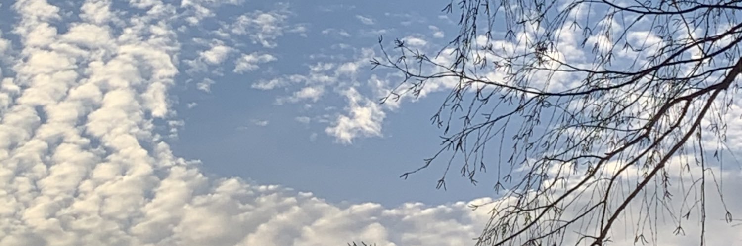 MearaLyons's profile banner image