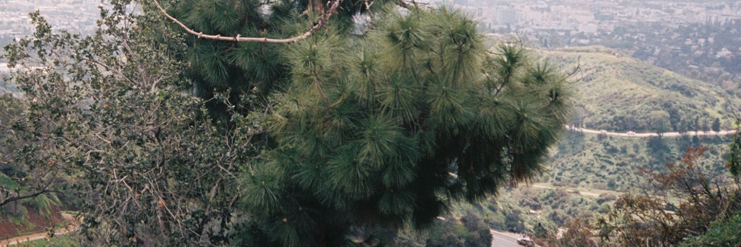 Mtn Laurel Recording Co. banner