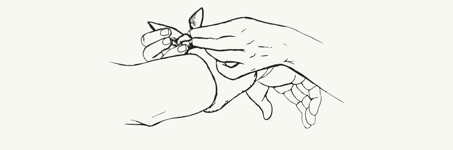 copelandband's profile banner image