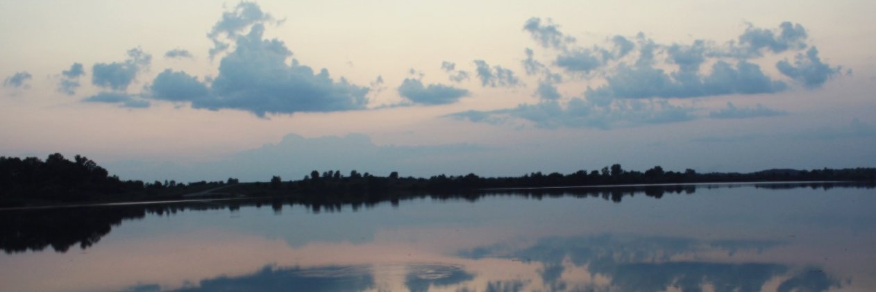 fly2neverlandy's profile banner image