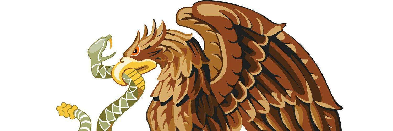 Rodolfo De la Torre banner