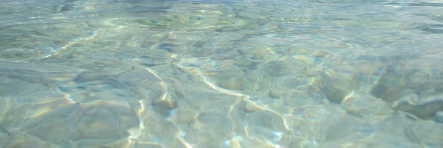 actuallyshepps's profile banner image