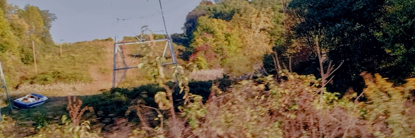 blurmore's profile banner image