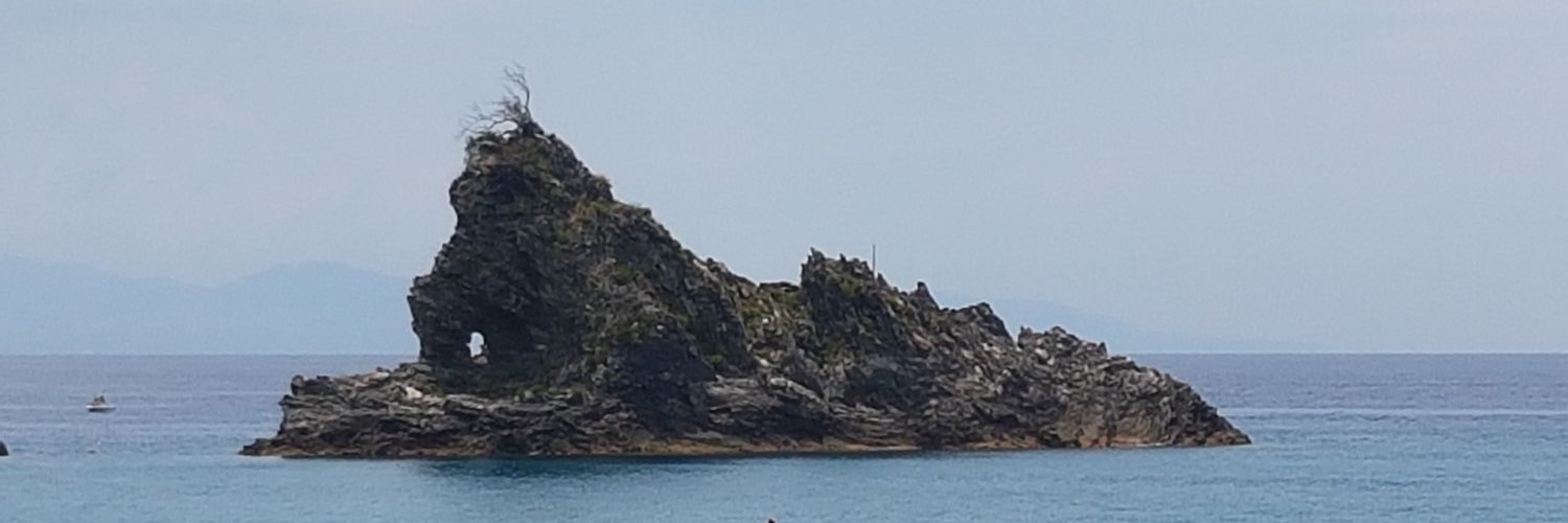 Domenica Taruscio banner