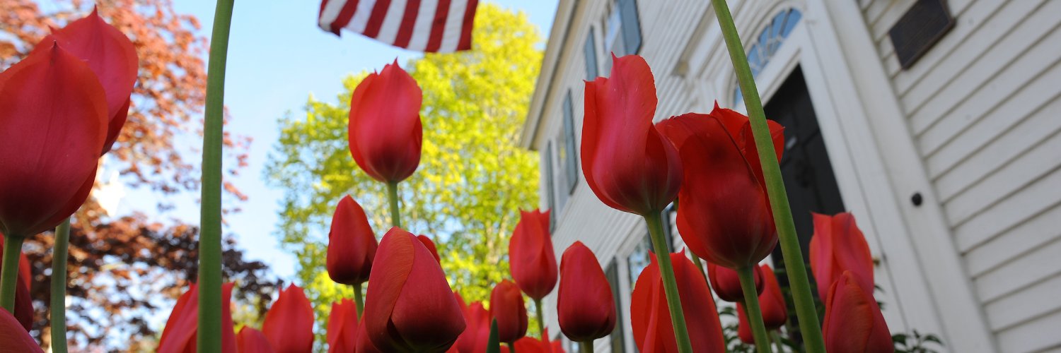 bowdoinalumni's profile banner image