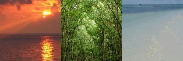 elmarieclarette Profile Banner