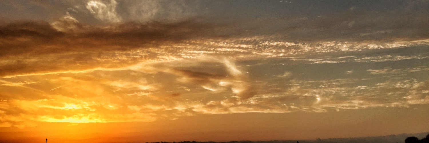 NTakeshi253's profile banner image