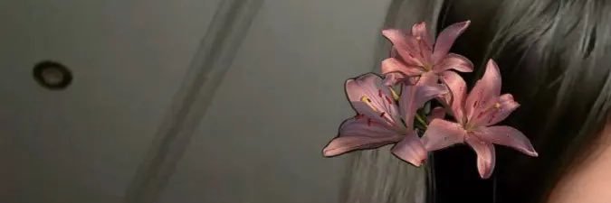 ga_da00's profile banner image