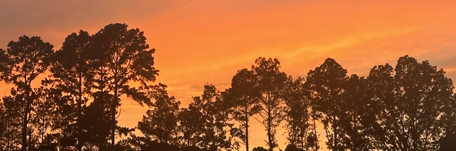 camivcal's profile banner image