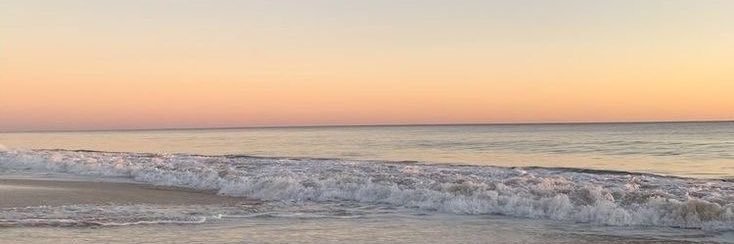 shxly banner