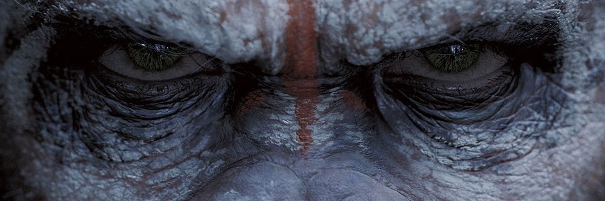 Cayden callier banner