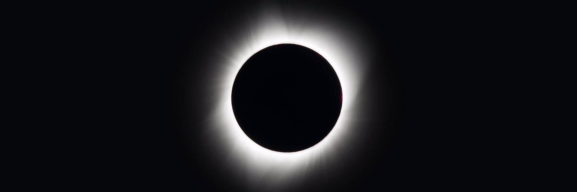 dsnyder731's profile banner image