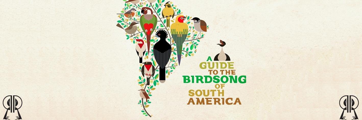 Rhythm and Roots banner