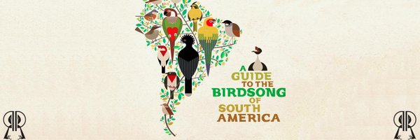 RhythmandRoots_ Profile Banner