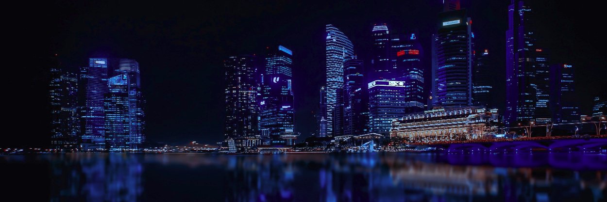 leonuys's profile banner image