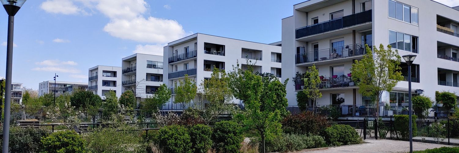 Picchu 🏔🌎 banner