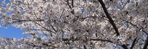 chabiyundayo Profile Banner