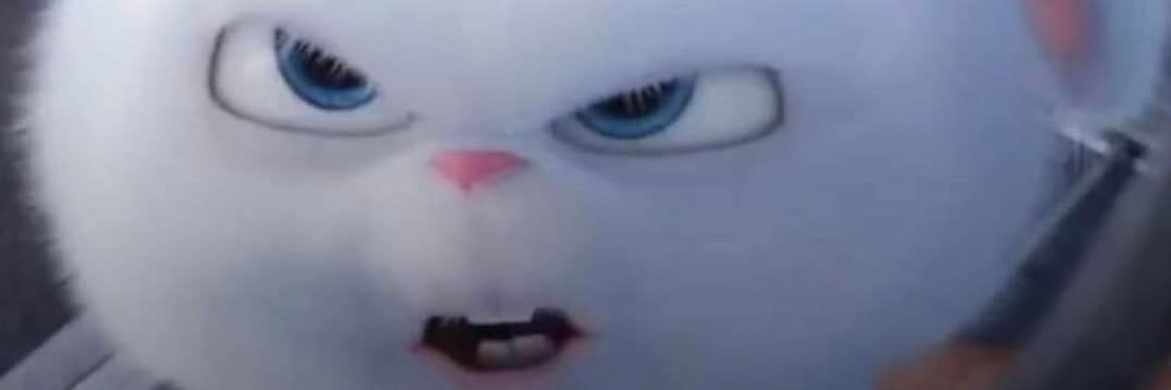 ketwarine's profile banner image