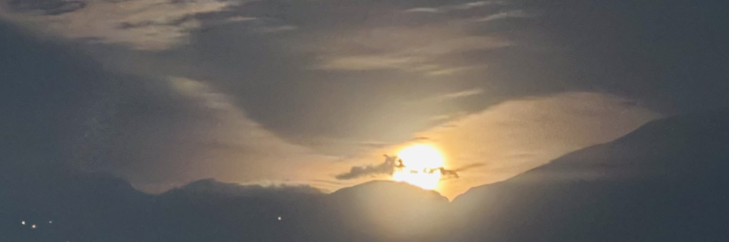 Alwynhz's profile banner image