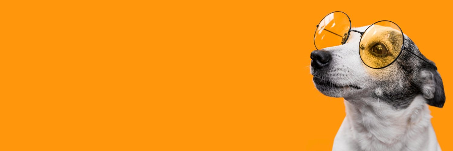 WTF Memes banner