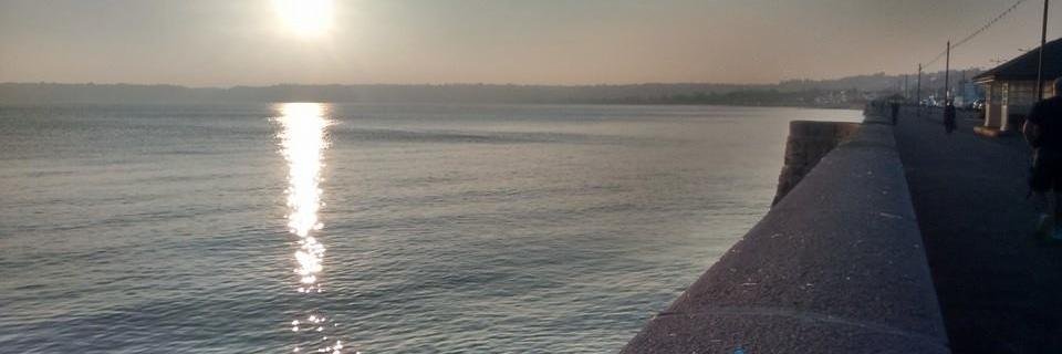 tomdlc's profile banner image