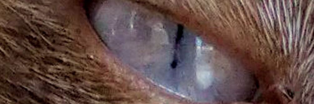 arwan75's profile banner image