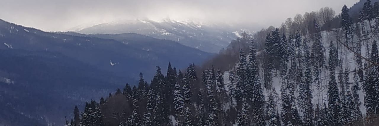 pmakeev's profile banner image
