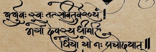 EntangledFrog Profile Banner