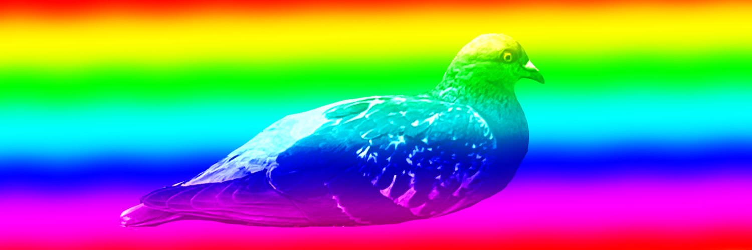 民ɴɪǫ's banner