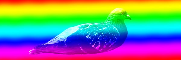 taminiku Profile Banner
