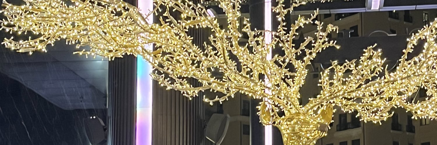 ssnurcc's profile banner image