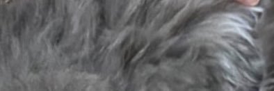 Gasisma196182's profile banner image