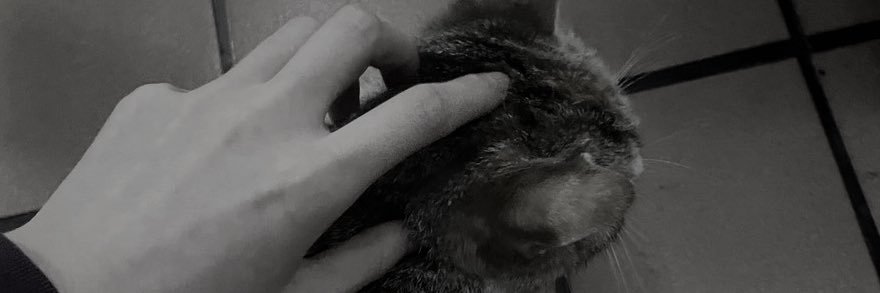 猫すいたい banner