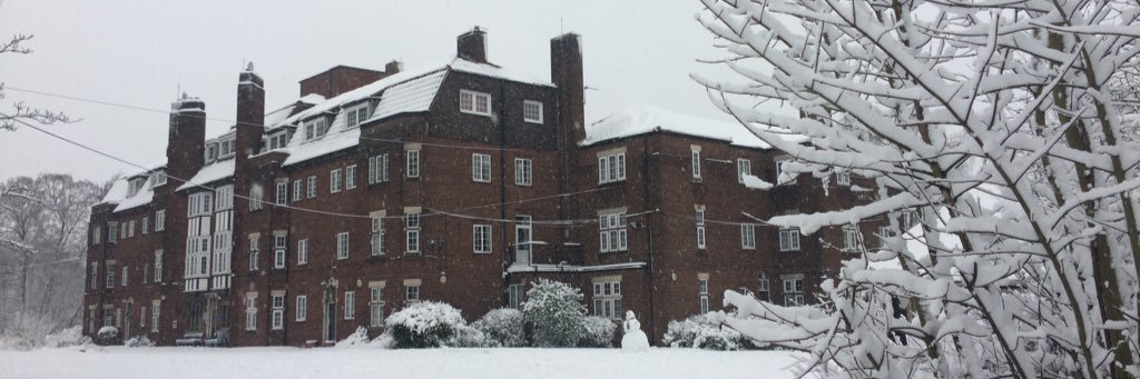 rony c. kristanto banner