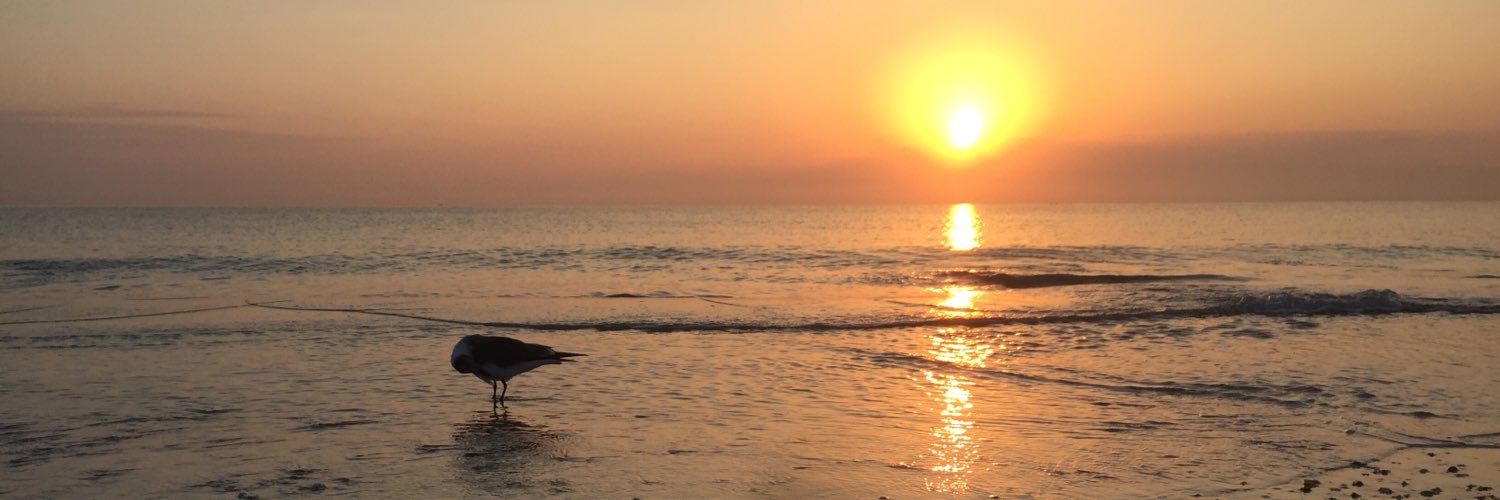 Catdean10's profile banner image