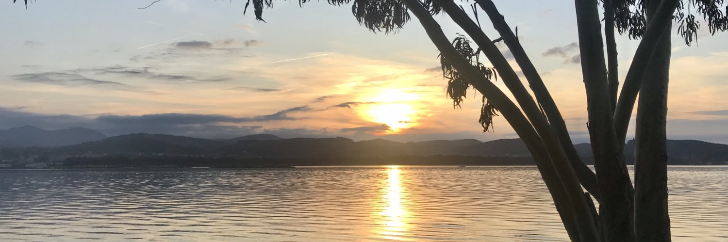 loreleyqg's profile banner image