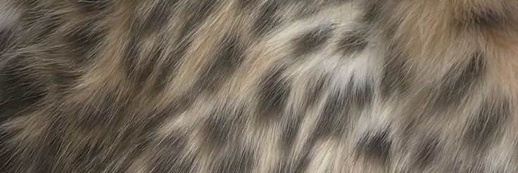 Yoe 👩🏻‍💻 banner