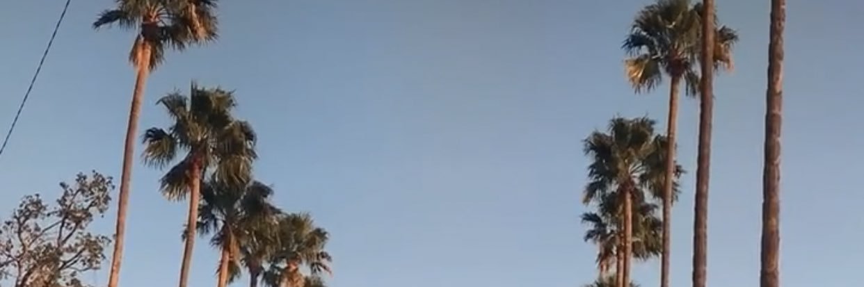 MONI251420's profile banner image