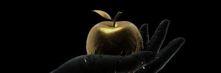 The_Rachel_lyn's profile banner image