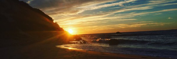 mindwanderer Profile Banner