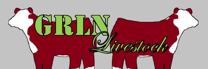 GarilynMMorris's profile banner image